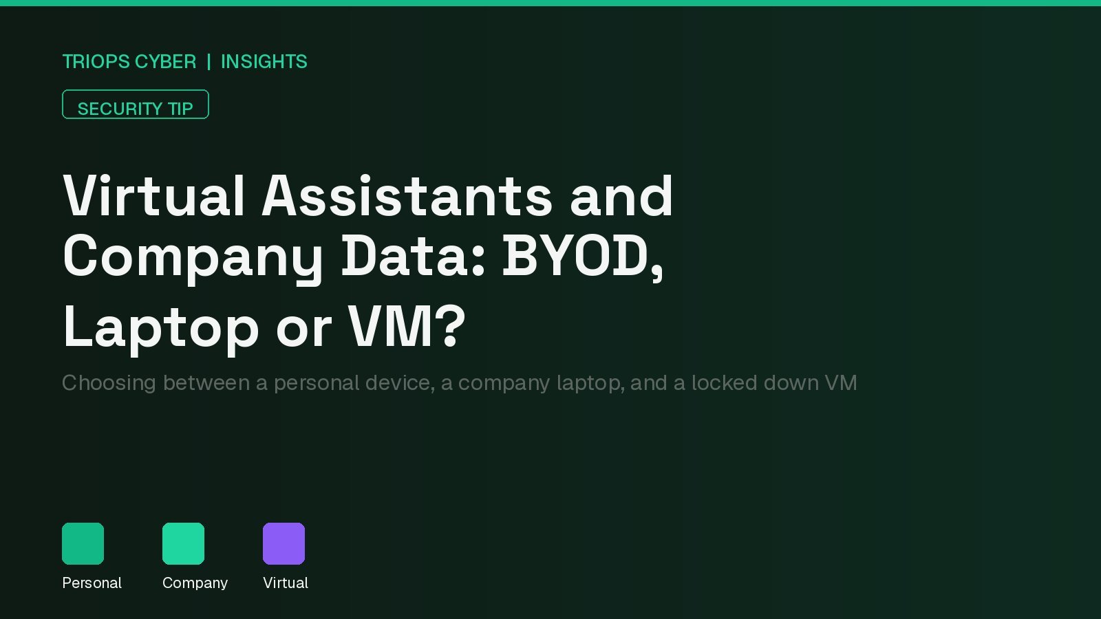Dark cover graphic titled Virtual Assistants and Company Data: BYOD, Laptop or VM, with icons for personal, company, and virtual options